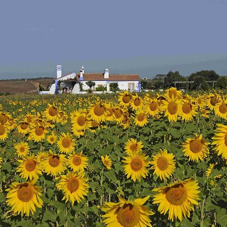 Herdade Do Touril Zambujeira do Mar Εξωτερικό φωτογραφία